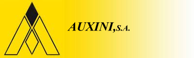 Auxini